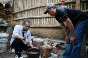 GMP Dorong Petani Kopi di Kawasan Gunung Manglayang Tingkatkan Produksi