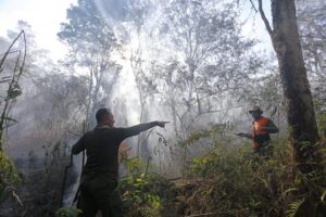 Jelang Kemarau, Lampung Bentuk Satgas Karhutla