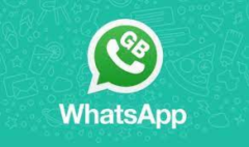 GB WhatsApp pro punya sejumlah versi.