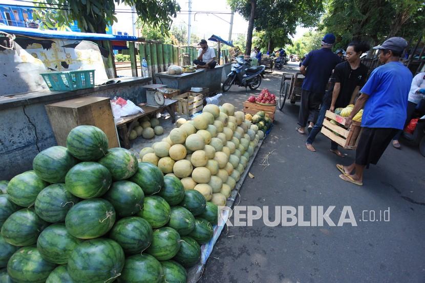 Mantap, Buah Naga Sampai Alpukat Jember Tembus Pasar Eropa