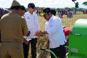 Mentan Dorong Implementasi Empat Kali Panen Setahun