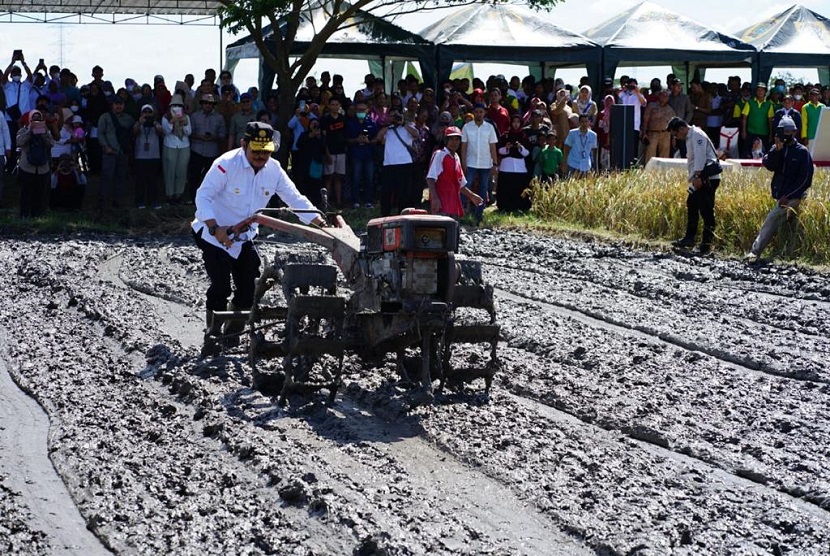 Mentan Dorong Pengembangan Beras Lokal