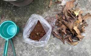 Pengelolahan Limbah Daun Kering Menjadi Pupuk Kompos