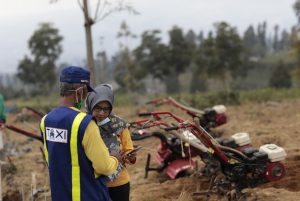 Petani Banyuwangi Akui Terbantu Alsintan Bantuan Kementan untuk Meningkatkan Produksi