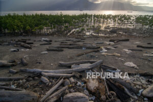 Sampah Kiriman Ancam Kawasan Konservasi Mangrove