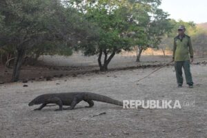 Tim SAR Temukan Warga Hilang di Pulau Rinca dalam Kondisi Meninggal