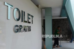 Toilet Umum Rest Area Penuh Saat Mudik, Bagaimana Menyiasati Keinginan Buang Air Kecil?