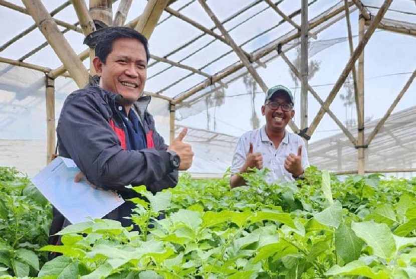 Wardana Farm, Petani Milenial Penangkar Kentang Sukses di Pasuruan