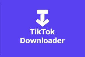 SssTikTok: Download Video Tiktok tanpa Watermark 2023, Unduh tanpa Batas