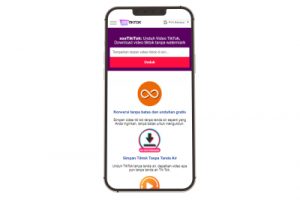 Download Video TikTok Tanpa Aplikasi Gratis dan Mudah di SssTikTok: HD, Tanpa Watermark