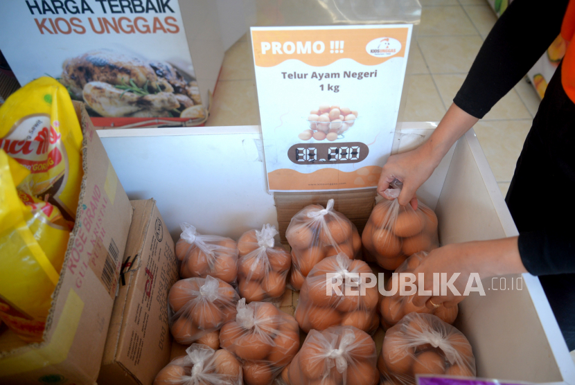 Afkir Dini dan Harga Pakan Picu Lonjakan Harga Telur Ayam