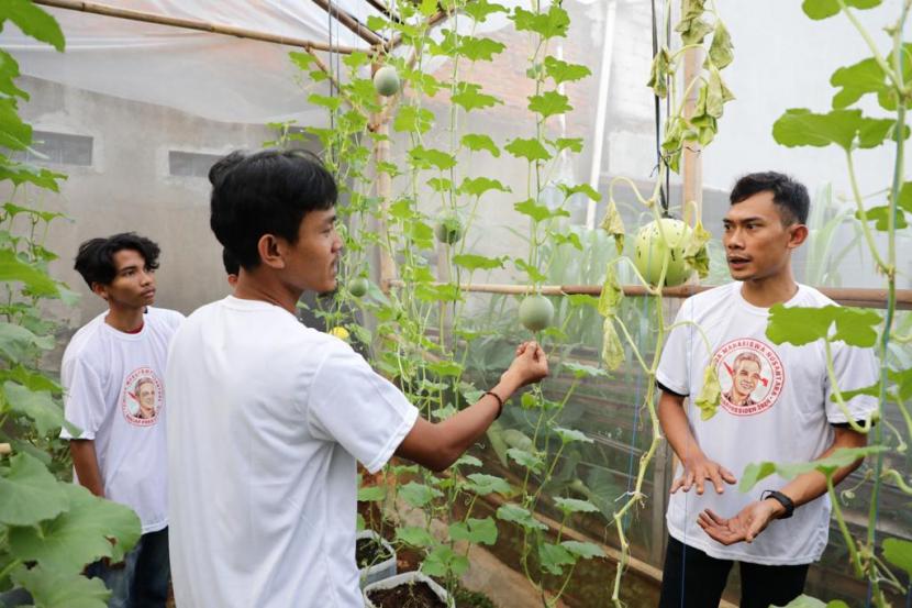 Ajak Milenial Tangerang Bertani, PMN Beri Pelatihan Budi Daya Melon di Perkotaan