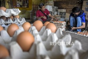 Bapanas Tetap Lanjutkan Bansos Telur untuk Cegah Stunting