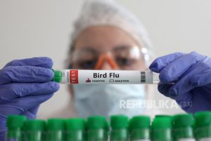 Dua Orang di Inggris Terjangkit Flu Burung