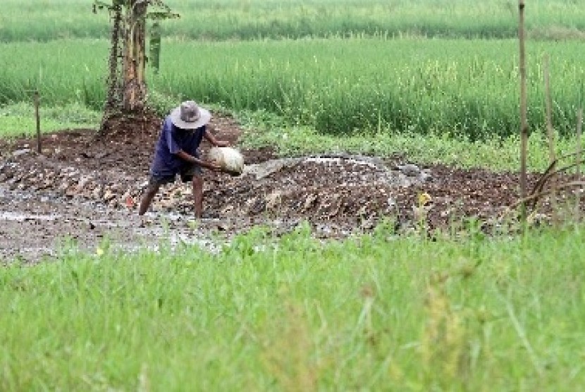 El Nino Ancam Indonesia, Pakar Minta Pemerintah Belajar dari Pengalaman