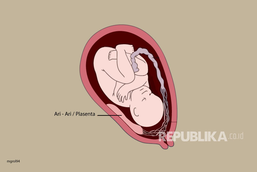 Ibu Hamil Disarankan Suntik Vaksin Tetanus, Ini Manfaatnya