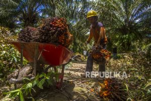 Investasi Masuk di Kalsel Ditarget Rp 12,5 Triliun pada 2023