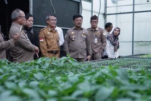 Kementan Latih 13 Juta Petani dan Penyuluh Antisipasi El Nino