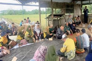 Kementan Masifkan Genta Organik pada Farmer Field Day di Kalsel