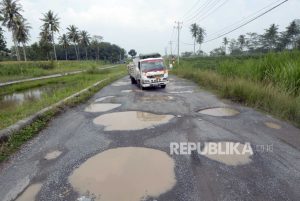 Bentuk Kekecewaaan, Warga Tulangbawang Barat Lampung Tanam Pohon Pisang di Jalan Rusak