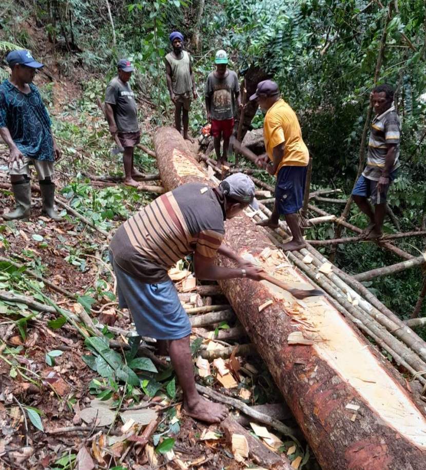 Masyarakat adat Moi di Malaumkarta, Sorong, Papua Barat Daya, sedang membuat perahu tradisional dari batang kayu utuh. Perahu akan digunakan untuk mengantar tamu penting Festival Egek ke Pulau Um (foto: panitia festival egek)