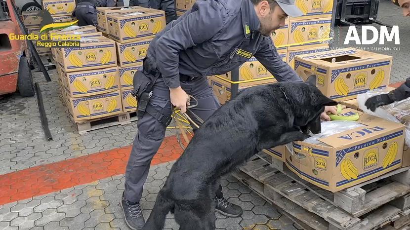 Polisi Italia Sita 2.700 Kg Kokain Tersembunyi di Kontainer Pisang