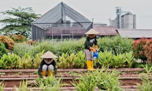 Praktik Baik Pertambangan Semen Gresik di Rembang Diganjar Penghargaan