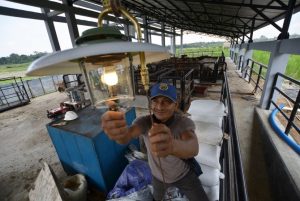 Riau Miliki Pembangkit Listrik Tenaga Biogas Pertama