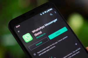 Apa Itu Whatsapp Beta? Ini Perbedaannya dengan Whatsapp Biasa