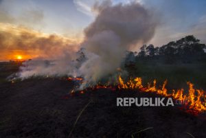 BPBD Sebut Luas Karhutla Kalsel Capai Seribu Hektare