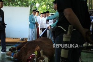 Apresiasi Masjid Salman, Ridwan Kamil: Pemotongan Hewan Kurban di Sini Jadi Percontohan