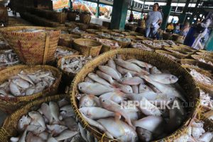 Bagian dari PIT, KKP Hitung Kuota Penangkapan Ikan Tiap Zona