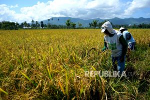 Bioteknologi Jadi Solusi Alternatif Penuhi Kebutuhan Pangan