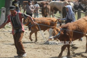 Cegah Penyakit Menular, Hewan Kurban akan Disertifikasi Sehat