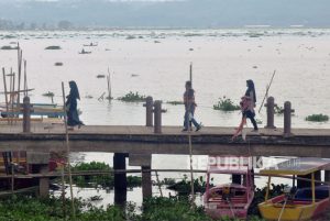 Enceng Gondok Kembali Ganggu DTW Sekitar Danau Rawapening  