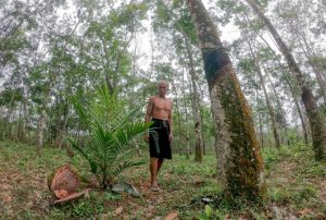 Guru Besar USU Usulkan Tiga Upaya Antisipasi Dampak El Nino