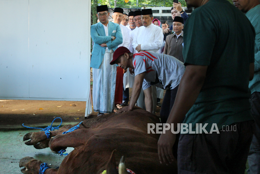 Idul Adha, I Do Care Berbagi Kurban di Bandung