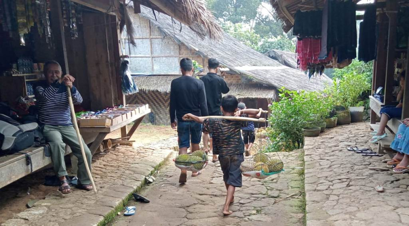 Anak Baduy Luar di Kampung Ciboleger tengah memikul duren. Sejak kecil diajari adat dan membantu pekerjaan orang tua, sehingga tak memiliki keinginan berlebih dalam urusan materi. Maka, anak tantrum pun tak ada di Baduy.