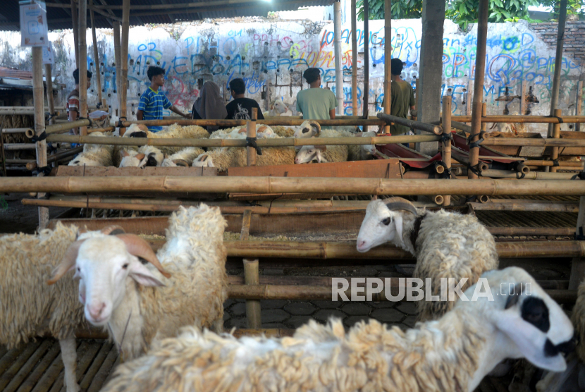 Jangan Lupa Baca Doa Ini Sebelum Menyembelih Hewan Kurban