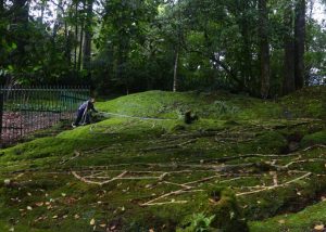 Kebun Raya Cibodas Hadirkan Saung Kelas Edukasi untuk Wisatawan