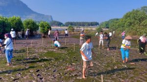 Kelompok Nelayan Gelar Edukasi dan Konservasi Pantai di Jember