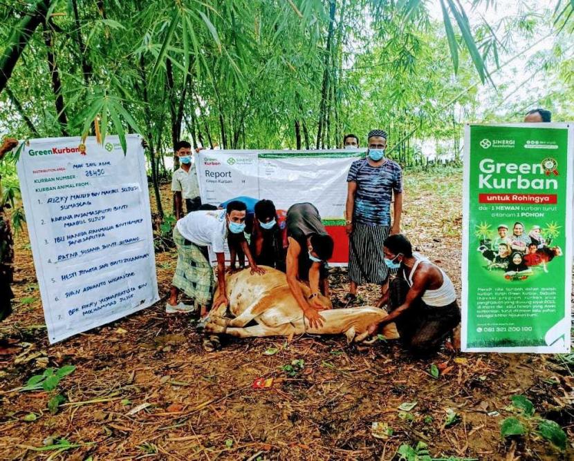 Krisis Pangan Rohingya, Sinergi Foundation Salurkan Kurban Tahun Ini