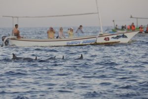 Libur Panjang Idul Adha, Ratusan Wisatawan Kunjungi Pantai Lovina