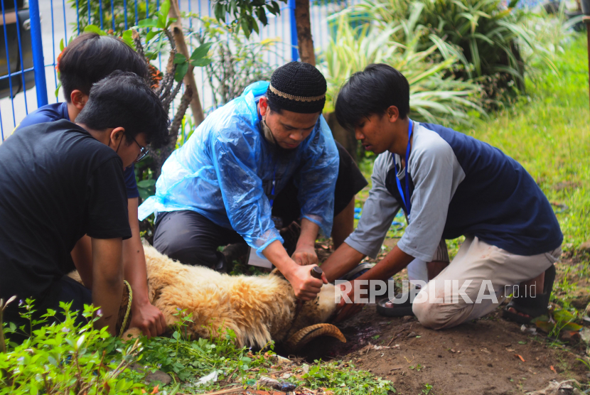 Kisah Manusia Pertama yang Berkurban