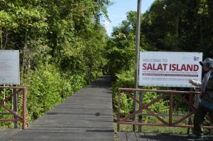 Membangun Mimpi Ecowisata Orang Utan di Pulau Salat