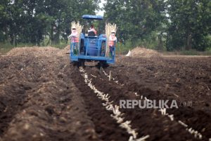 PTPN X Bukukan Pendapatan Rp 4,1 Triliun pada 2022