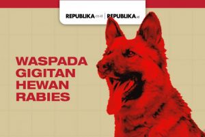 Pakar Kesehatan Bicara Risiko Tinggi Gigitan Hewan Rabies dan Cara Penanganannya