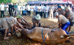 Pantau Pemotongan, Tim DKP3 Sukabumi Pastikan Daging Kurban Layak Konsumsi