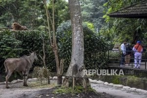 Pemkot Bandung Segera Ambil Alih Lahan Kebun Binatang