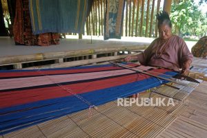 Penenun Sumba Timur Butuh Lahan Budidayakan Tanaman Pewarna Alami